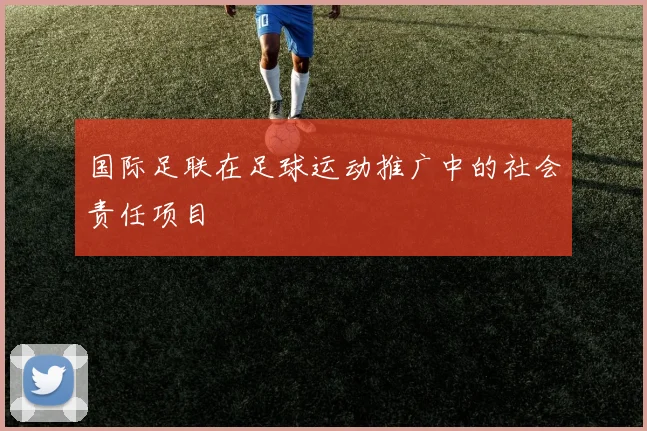 国际足联在足球运动推广中的社会责任项目