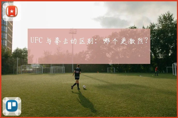 UFC 与拳击的区别：哪个更激烈？