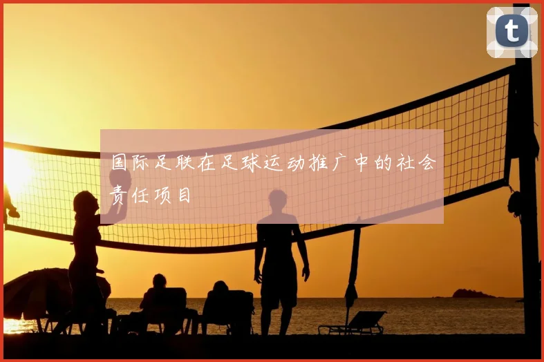 国际足联在足球运动推广中的社会责任项目